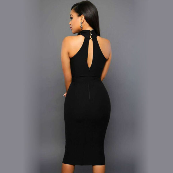 Women Sleeveless Bodycon Dress - Image 3