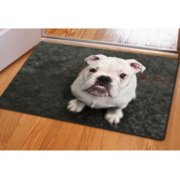 Animal Creative Printing Pet Mat Household Ottoman Cushion Non-slip Bath Mat - Image 10