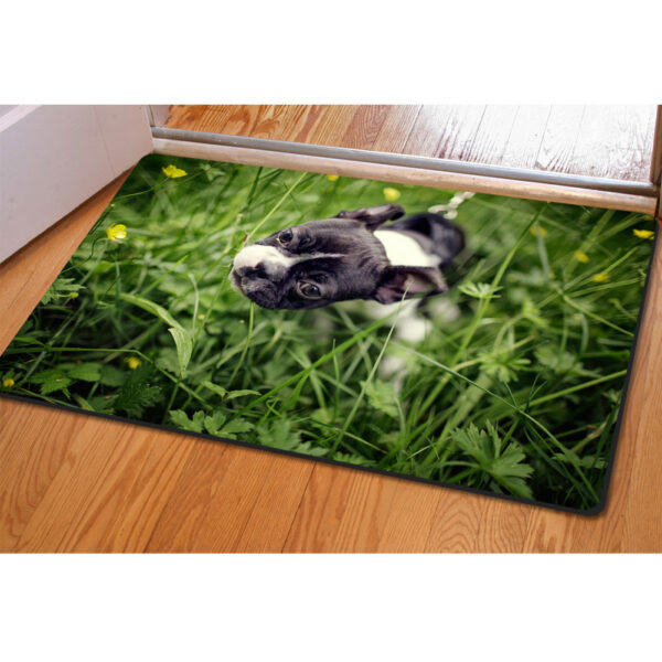 Animal Creative Printing Pet Mat Household Ottoman Cushion Non-slip Bath Mat - Image 3