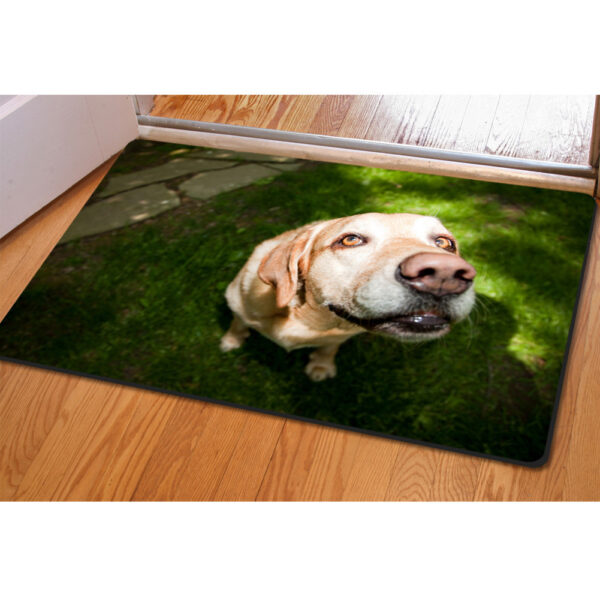 Animal Creative Printing Pet Mat Household Ottoman Cushion Non-slip Bath Mat - Image 8