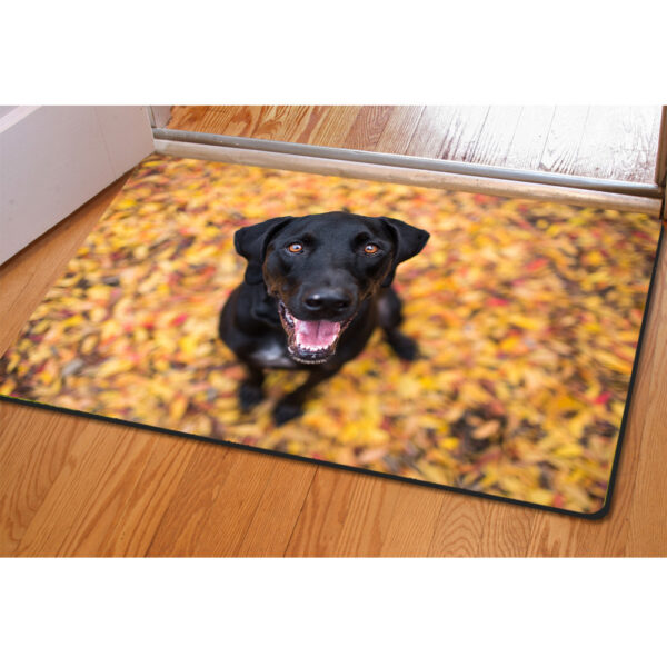 Animal Creative Printing Pet Mat Household Ottoman Cushion Non-slip Bath Mat - Image 2