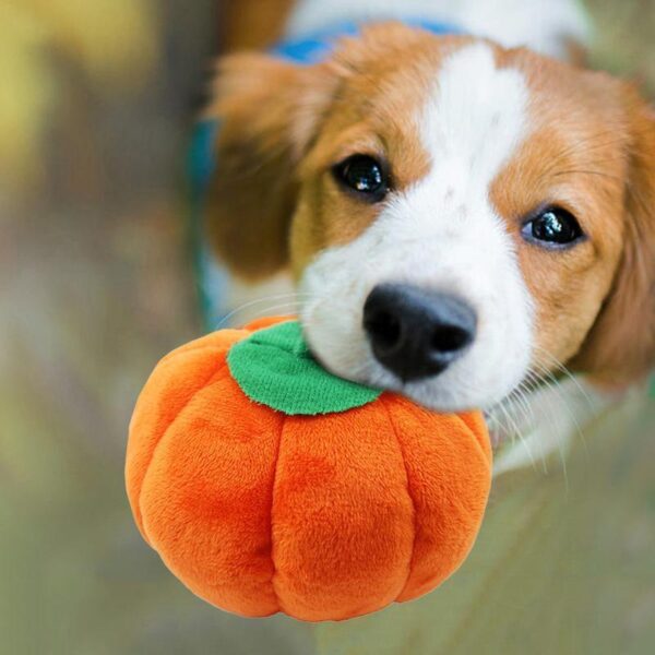 Gooddog, Dog, Plush Vocal Toys, Fruits, Cartoons, Pets, Cats, Toys, Pet Supplies - Image 5
