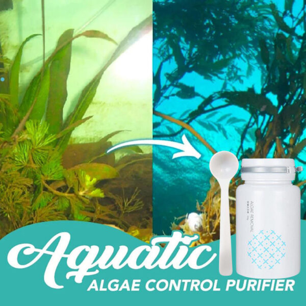 Algae removal and moss removal for swimming pools - Image 4