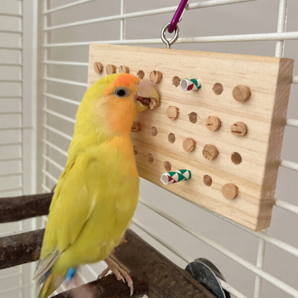 Parrot Toys Training Decompression Hanging Solid Wood Keyboard Toy - Image 10
