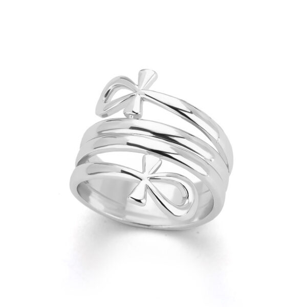 Indian Double Layered Rings Couple Rings - Image 4